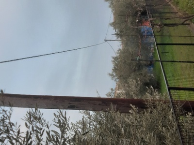 Τρείς λάμπες καμένες Ασμήνιον