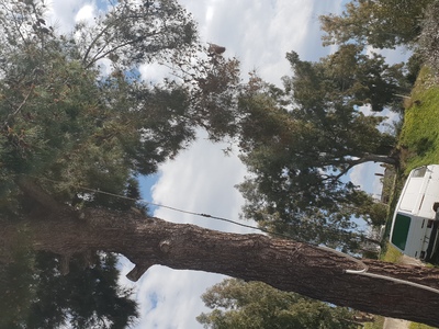 Πεσμένο καλώδιο