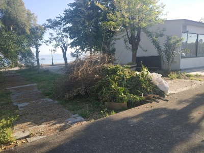 Κλαριά