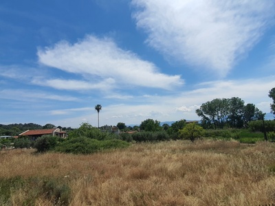 Να ενημερωθει αμεσα ο ιδιοκτήτης του οικοπέδου να το καθαρίσει. 