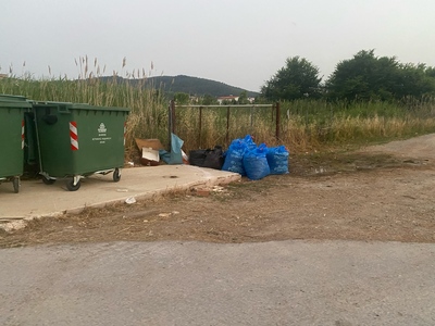 Δρομος προς το καμπιν πευκι