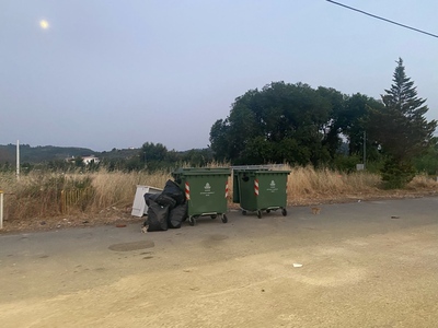 Δρομος προς το καμπιν πευκι