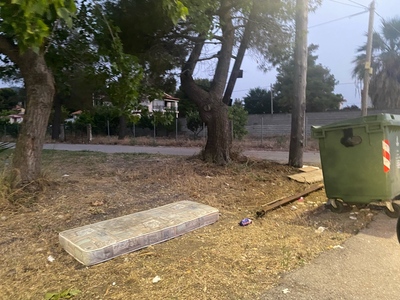 Δρομος προς το καμπιν πευκι