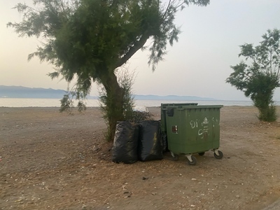 Δρομος προς το καμπιν πευκι