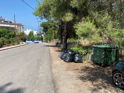 Κλαρια και σακουλες 