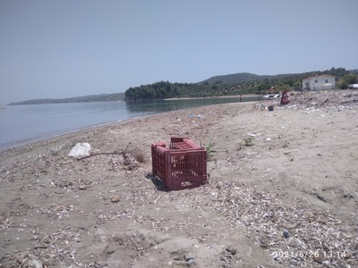 ΠΑΡΑΛΙΑ ΚΕΦΑΛΕΣ