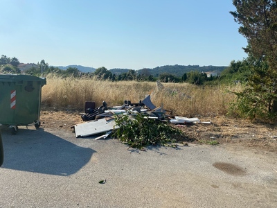 Πευκι
