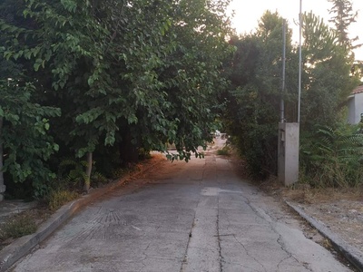 Καθαριότητα Βιστρίτσα