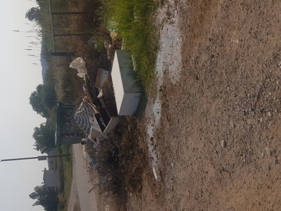 Σκουπιδια και κλαδια 