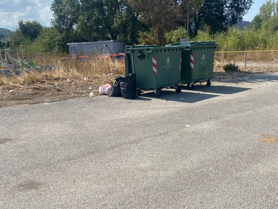 Πευκι