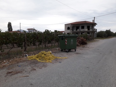 Δίχτυα, Κλαριά