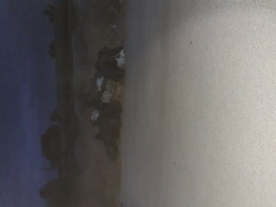 Σακούλες με σκουπίδια