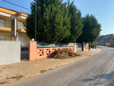 Πευκι στερεα κλαρια 