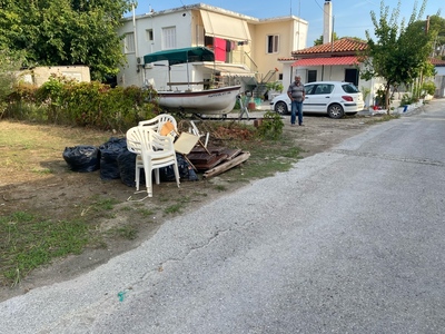 Πευκι στερεα