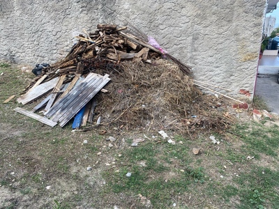 Πευκι κλαρια 