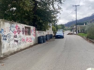 Πευκι σακουλες