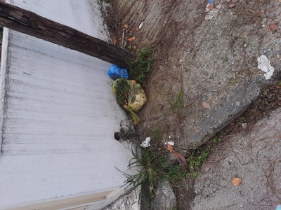 Καθαριοτητα