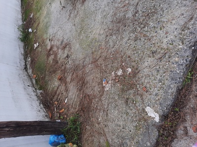 Καθαριοτητα