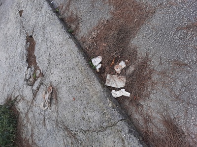 Καθαριοτητα