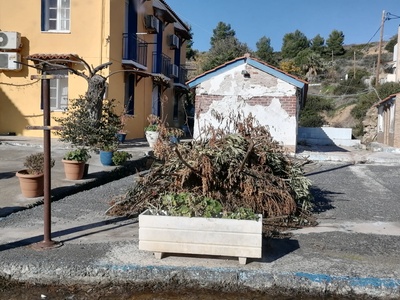 Κλαδια ΓΙΑΛΤΡΑ