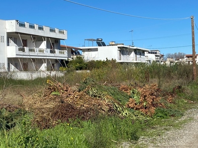 Κλαδια πευκι