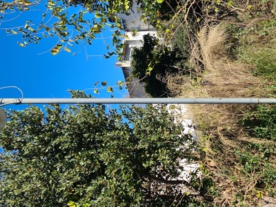 Καμμένη λάμπα