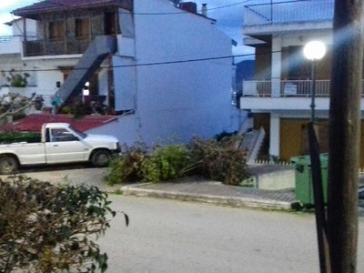 Πεταμενα κλαδια