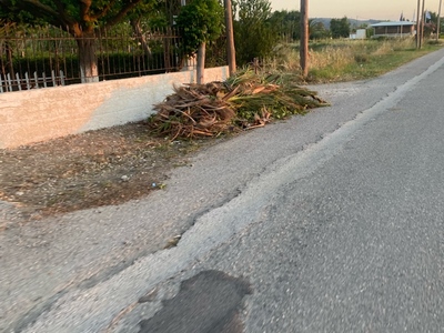 Πευκι λουνα παρκ