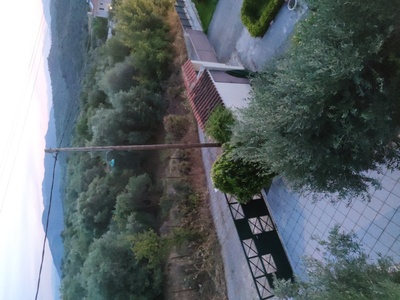 Καμένη λάμπα 