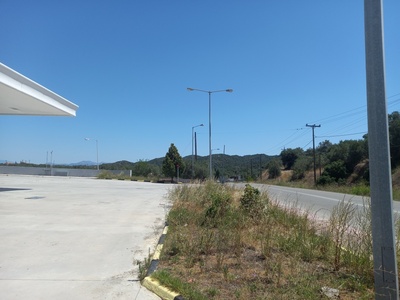 ΛΑΜΠΕΣ ΣΤΟ ΠΡΩΗΝ ΒΕΝΖΙΝΑΔΙΚΟ ,ΕΙΣΟΔΟΣ ΣΚΕΠΑΣΤΗΣ