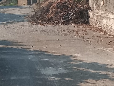 Κλαδια και ξερα χόρτα τουλάχιστον 1 μήνα 
