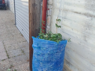 Χόρτα κλαδέματα 