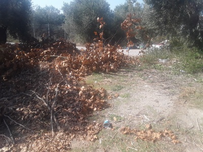 Σκουπιδότοπος Αγιοκάμπου Ιστιαίας