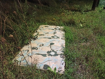 ΠΕΤΑΜΕΝΟ ΣΤΡΩΜΑ