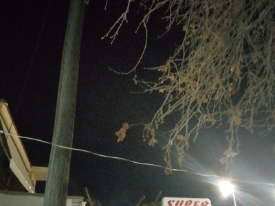 Καμμενη λάμπα 