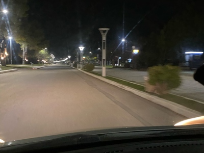 Πευκι φωτα καμμενα 