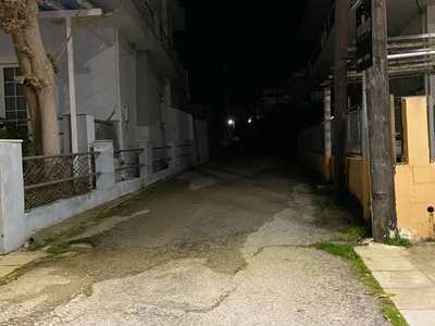 Πευκι φωτα καμμενα 