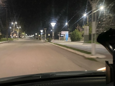 Πευκι φωτα καμμενα 