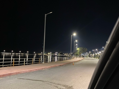 Πευκι φωτα καμμενα 