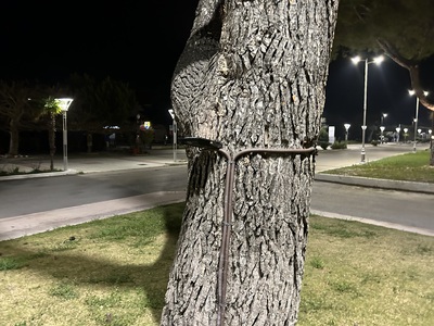 ΚΑΜΕΝΟΙ ΠΡΟΒΟΛΕΙΣ LED ΠΕΥΚΙ