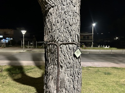 ΚΑΜΕΝΟΙ ΠΡΟΒΟΛΕΙΣ LED ΠΕΥΚΙ