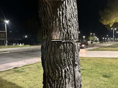 ΚΑΜΕΝΟΙ ΠΡΟΒΟΛΕΙΣ LED ΠΕΥΚΙ