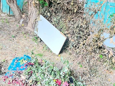 Κλαδια και σκουπιδια