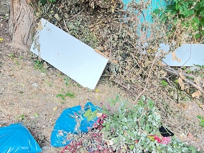 Κλαδια και σκουπιδια