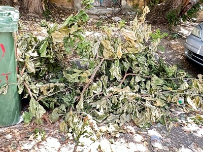 Προβλημα καθαριοτητας 