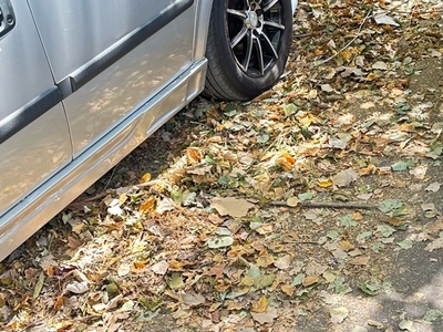 Προβλημα καθαριοτητας 