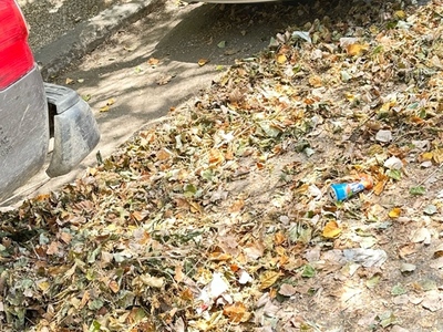 Προβλημα καθαριοτητας 