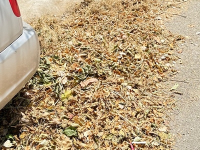 Προβλημα καθαριοτητας 