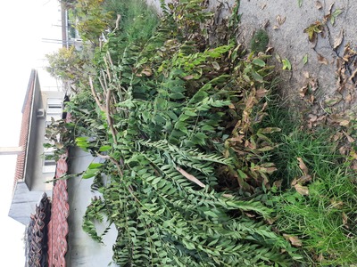 ΚΛΑΔΙΑ ΙΣΤΙΑΙΑ ΑΠΟ 22/10/2023 ΣΥΝΕΧΕΙΑ ΑΝΑΦΟΡΑΣ 5396