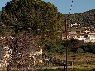 ΚΑΜΕΝΗ ΛΑΜΠΑ ΑΓ.ΝΙΚΟΛΑΟΣ FORUM